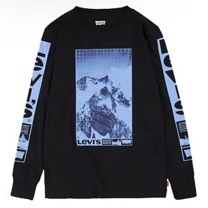 Levi's Long Sleeved T-shirt Mountain Logo Boys Size Large